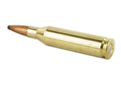 .243 Winchester